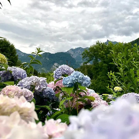 's Waldeck Πανσιόν Traunkirchen