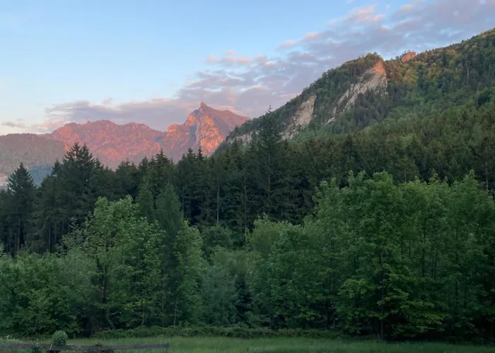 's Waldeck Traunkirchen