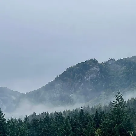 's Waldeck 招待所 *