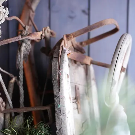 's Waldeck * 特劳恩基兴