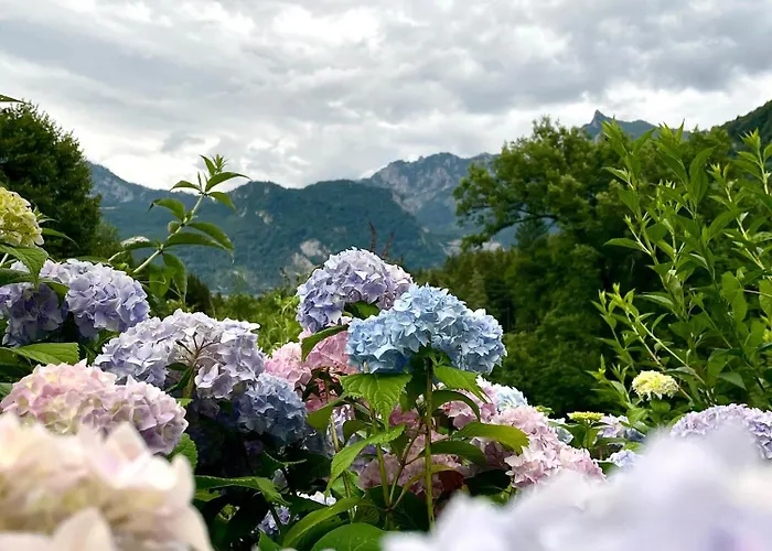 's Waldeck Pensión Traunkirchen